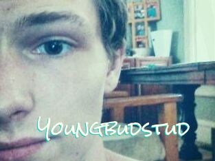 Youngbudstud