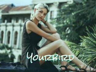 Yourbird