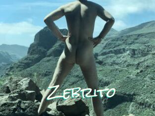 Zebrito
