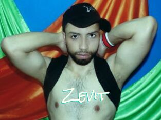 Zevit