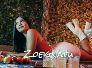 Zoeignatu